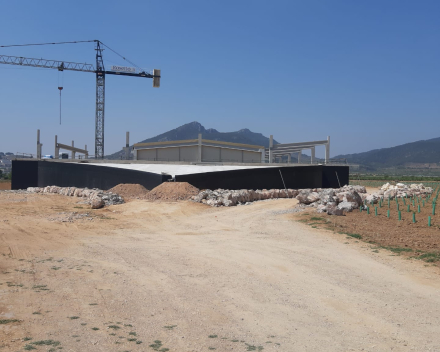 Bodegas in Valencia | Spanje