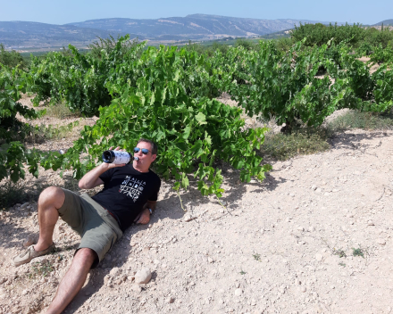 Bodegas in Valencia | Spanje